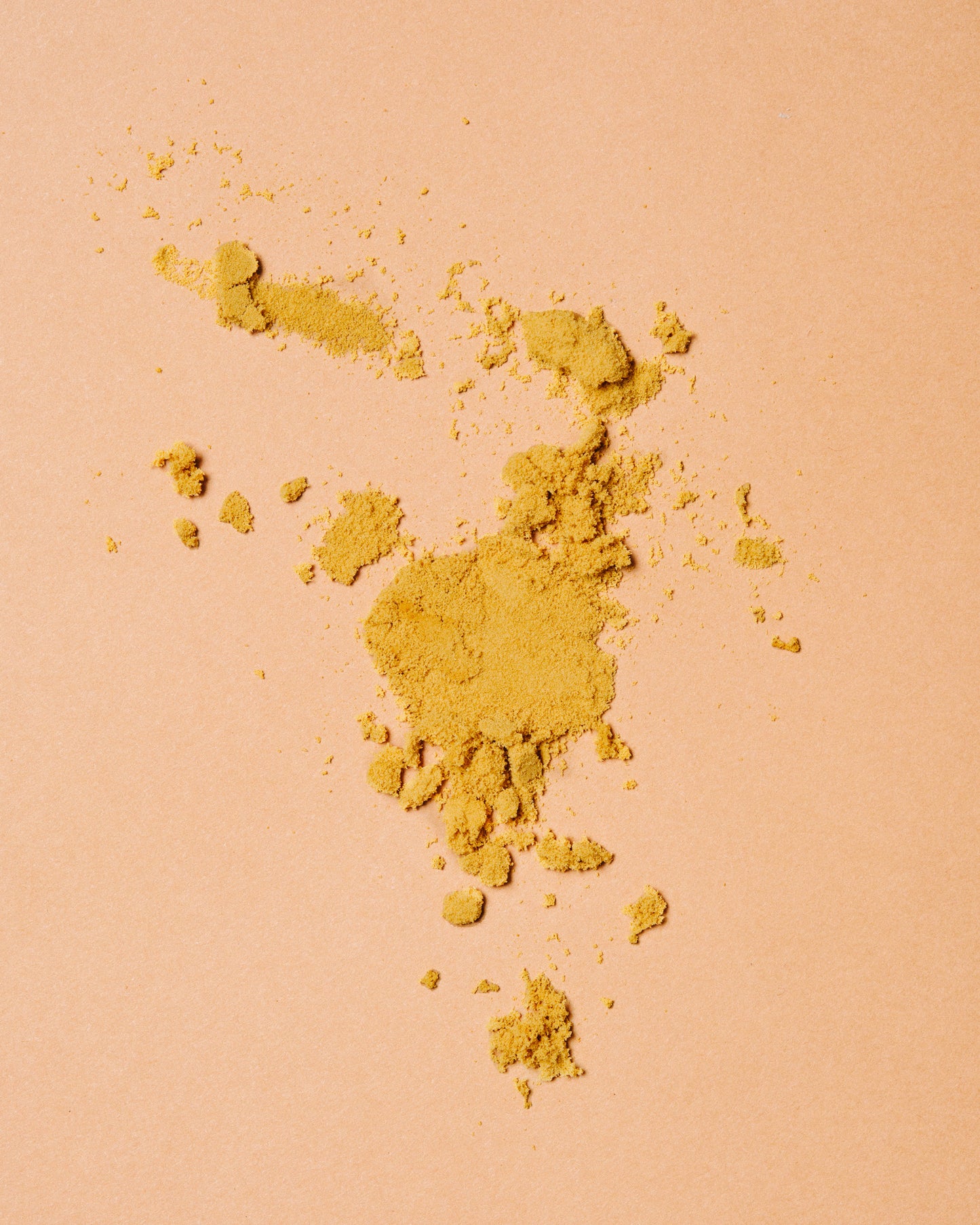 Lion's Mane — Le champignon du cerveau