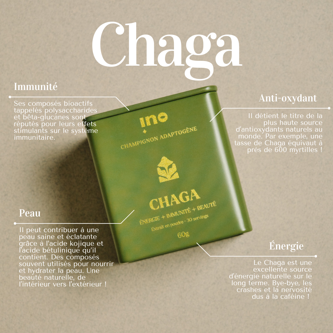 Pack Équilibre - Chaga & Reishi