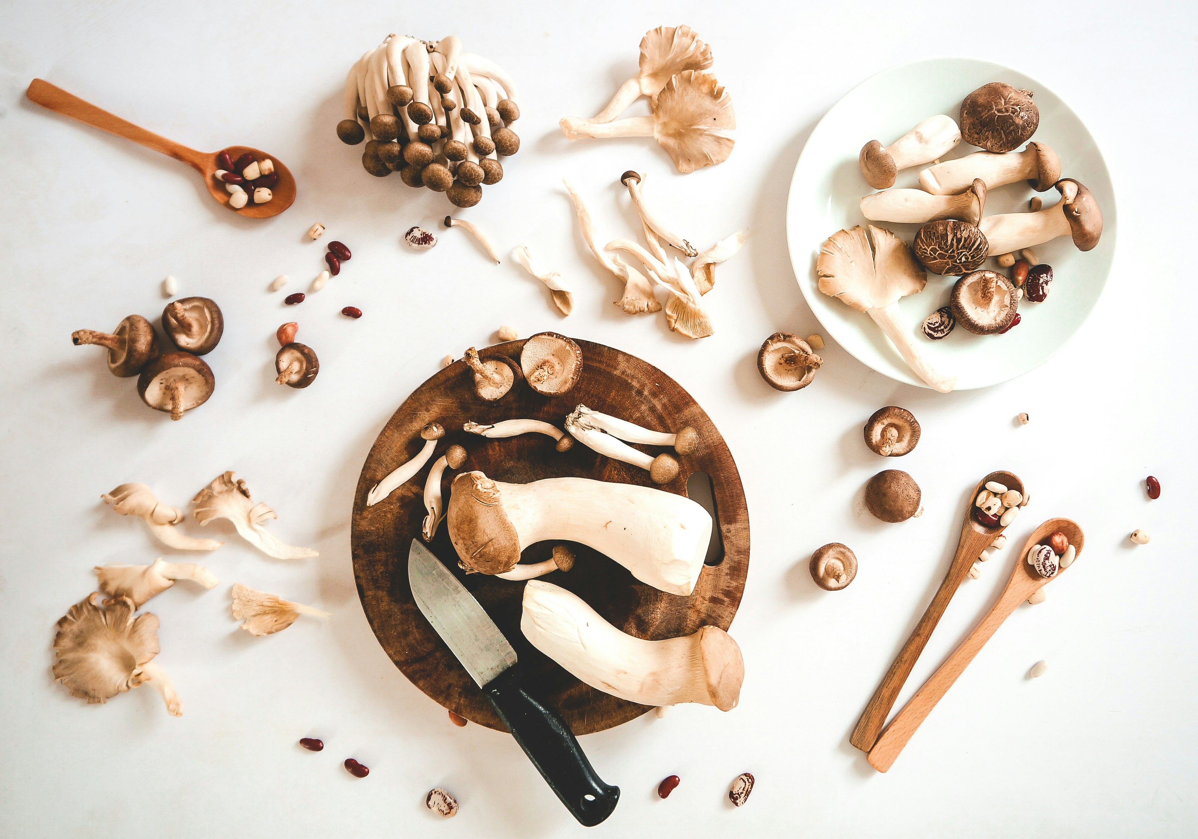 INO_ADAPTOGENES_-_CHAMPIGNONS_MEDICINAUX_-_CHAGA_REISHI_LION_S_MANE