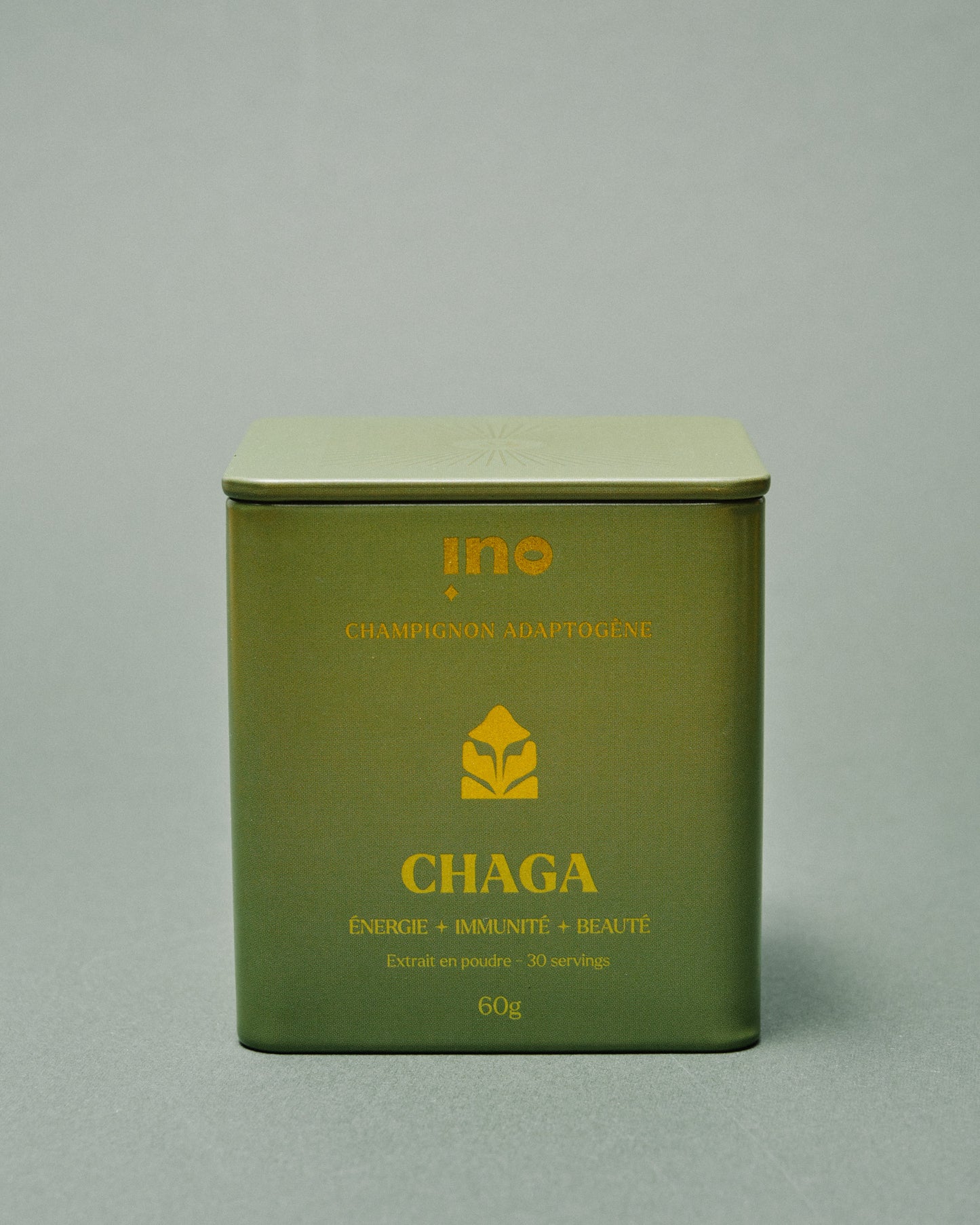 Chaga — Le champignon de l'énergie